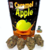 Buy Caramel Apple Backpack boyz Online