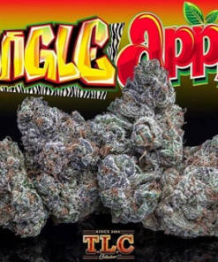 Purchase Jungle Apples weed Online