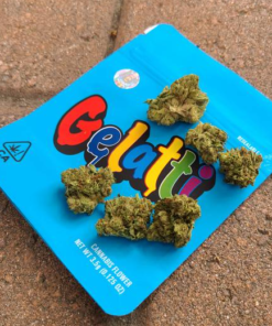 Buy Gelatti Cookies Strain ONLINE