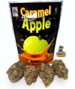 Buy Caramel Apple Backpack boyz Online