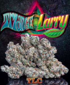 Buy Triangle Larry Cannabis Strain